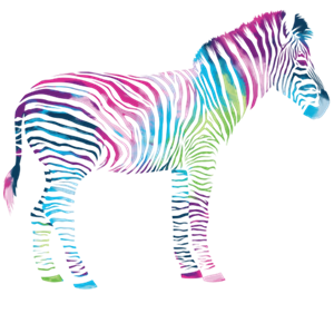 RDD: ColourUp4Rare in Bern / Tagung Bellinzona